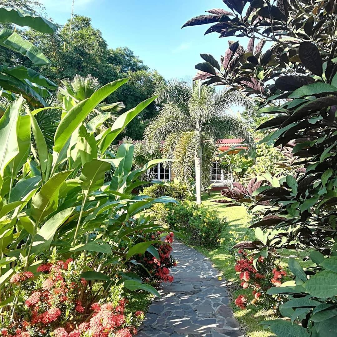 Cabanas Los Colibris San Carlos Eksteriør bilde